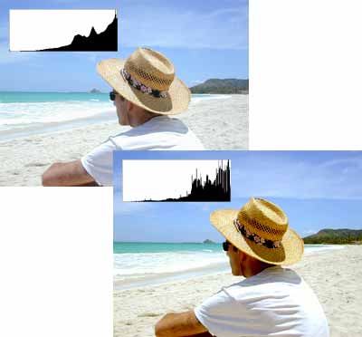 Open an Image in Photoshop.
