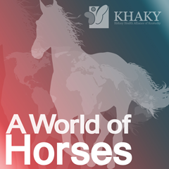 KHAKY A World of Horses