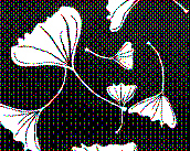 7thgradeelementsand_files/i0320000.jpg